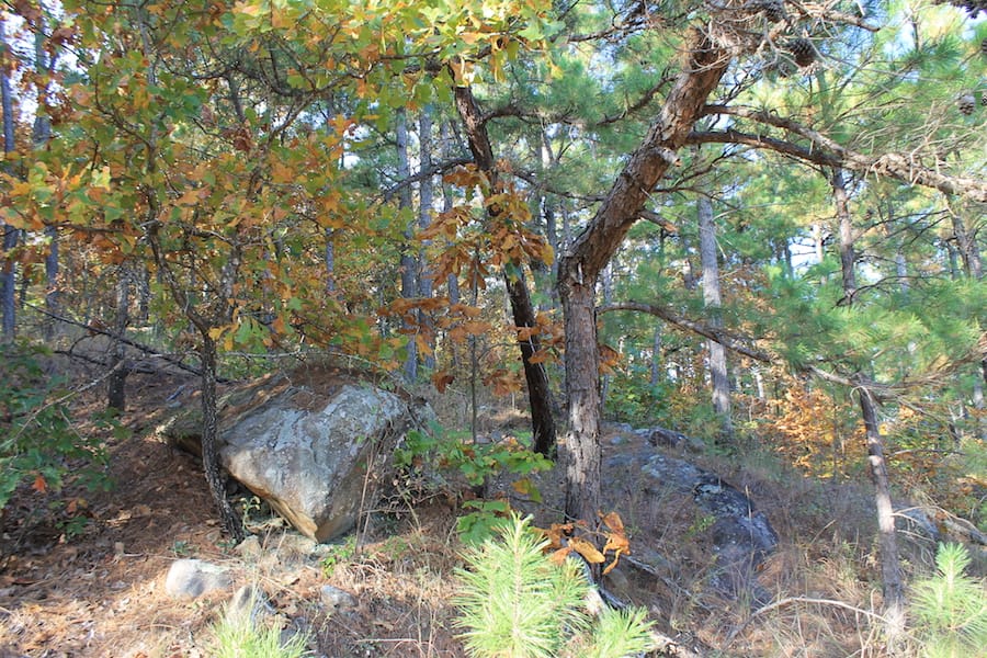 Indian Ridge – Phase III Tract 97 photo 4