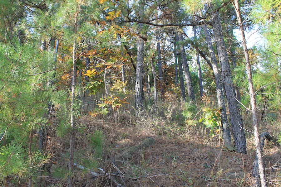 Indian Ridge – Phase III Tract 97 photo 5