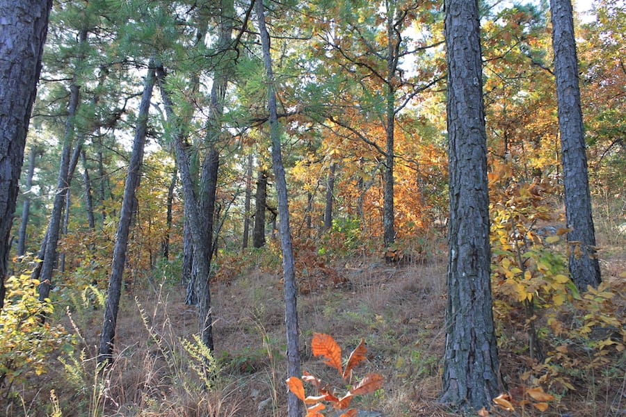 Indian Ridge – Phase III Tract 97 photo 6