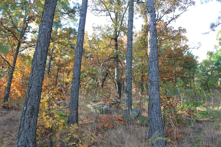 Indian Ridge – Phase III Tract 97 photo 7