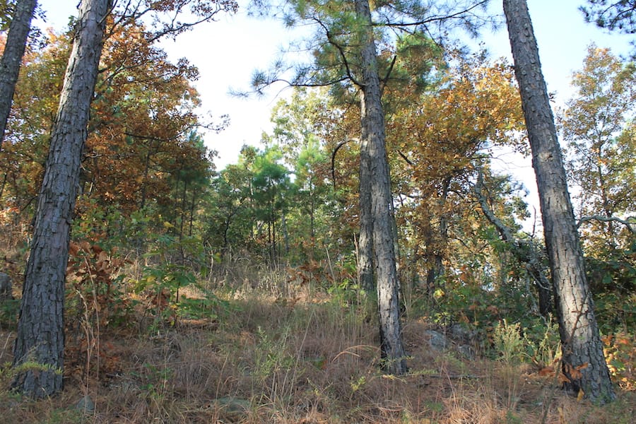 Indian Ridge – Phase III Tract 97 photo 8