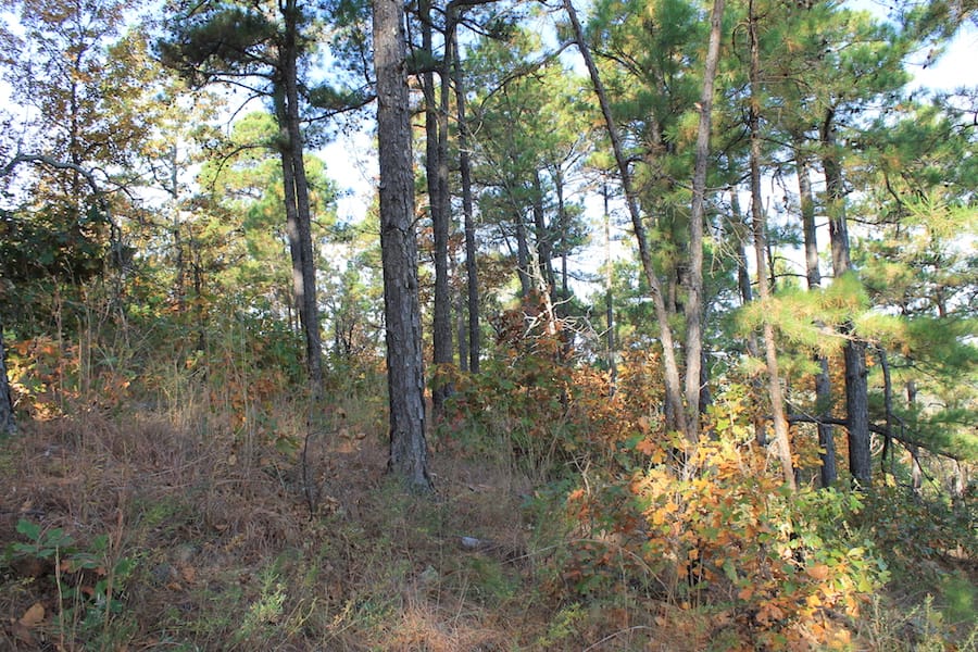 Indian Ridge – Phase III Tract 97 photo 9