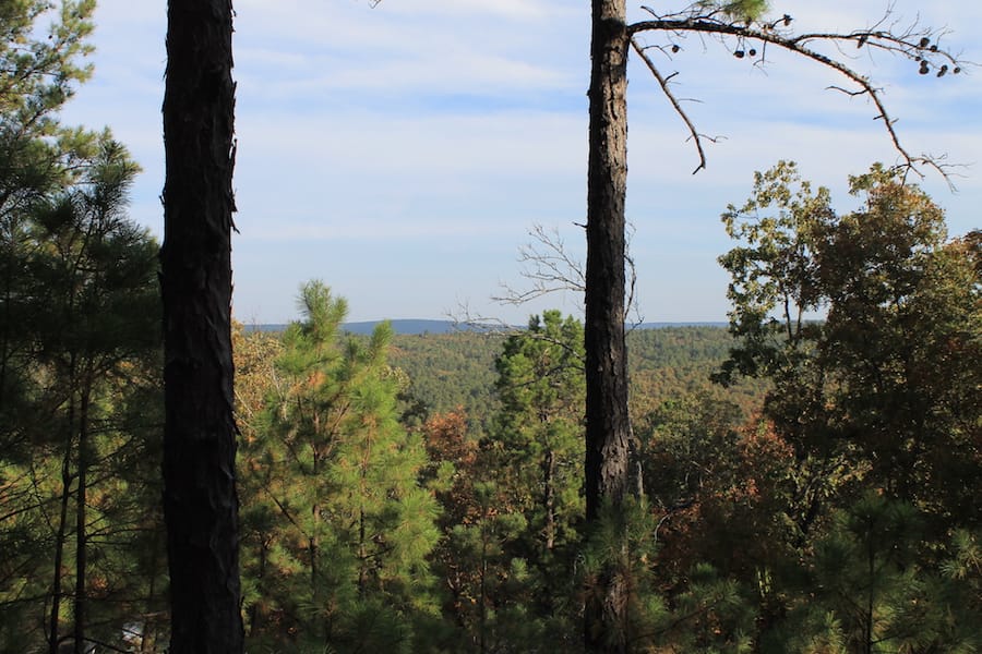 Indian Ridge – Phase III Tract 97 photo 11