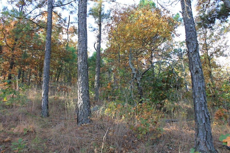 Indian Ridge – Phase III Tract 97 photo 12