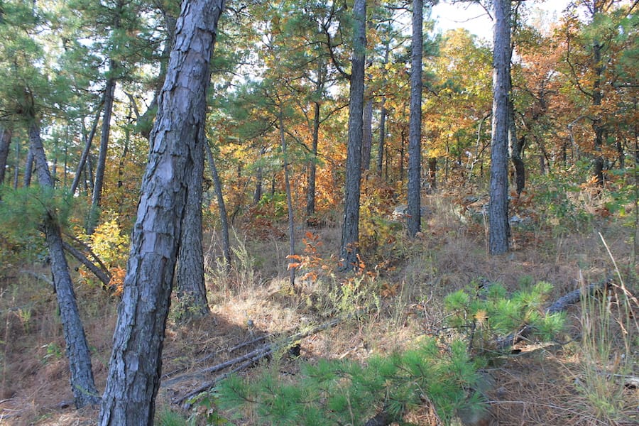 Indian Ridge – Phase III Tract 97 photo 14