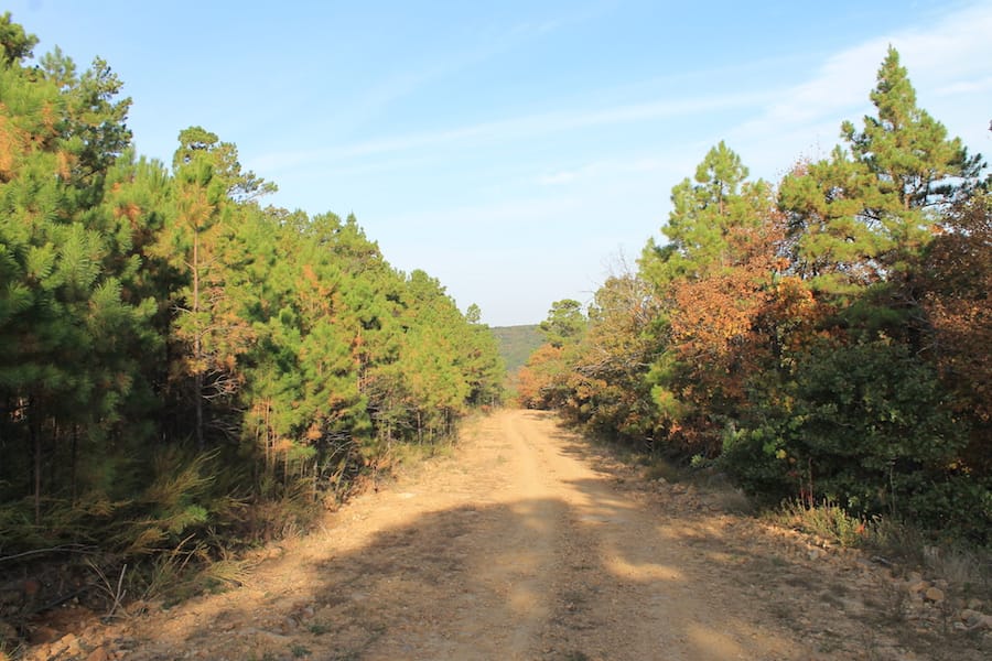 Indian Ridge – Phase III Tract 97 photo 2
