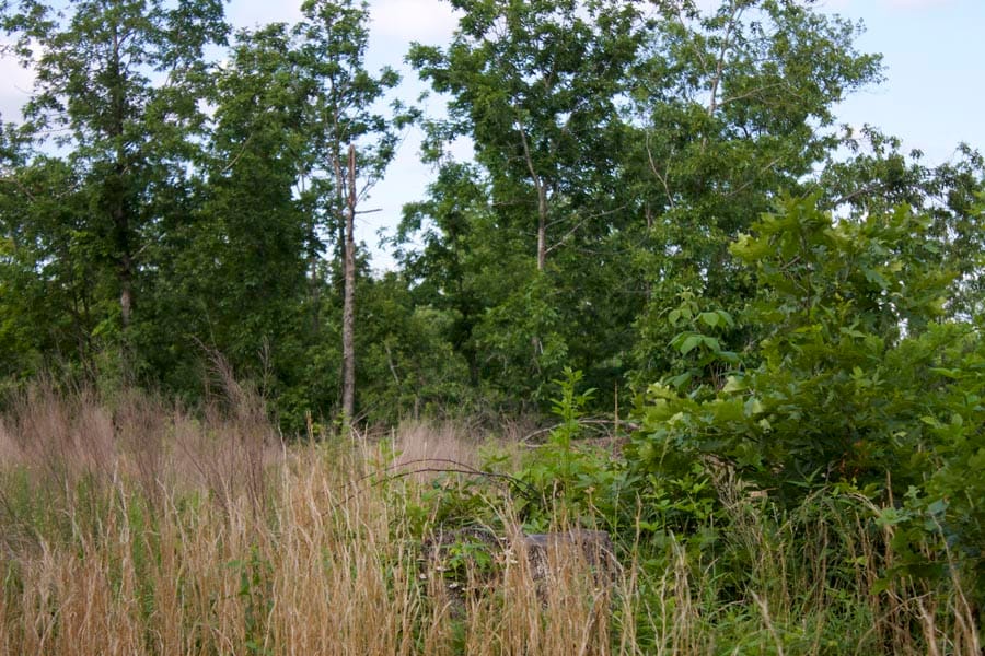 Thunder Mountain Ranch Tract 10 photo 9