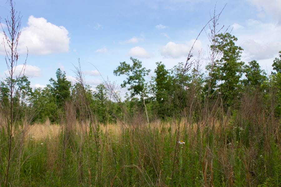 Thunder Mountain Ranch Tract 10 photo 1