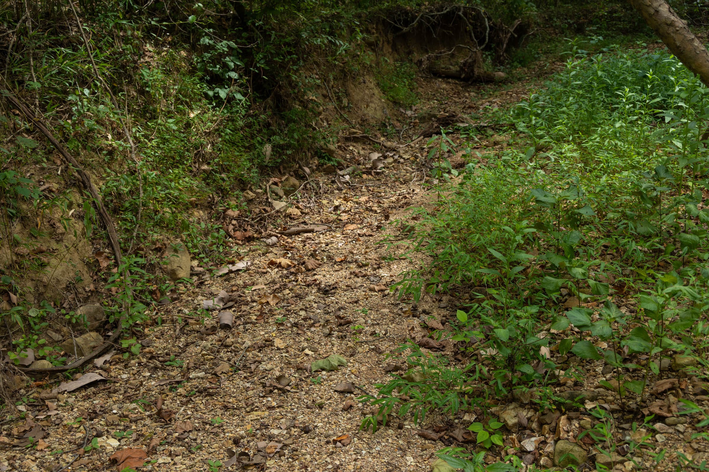 Big White Oak Tract 101 photo 17