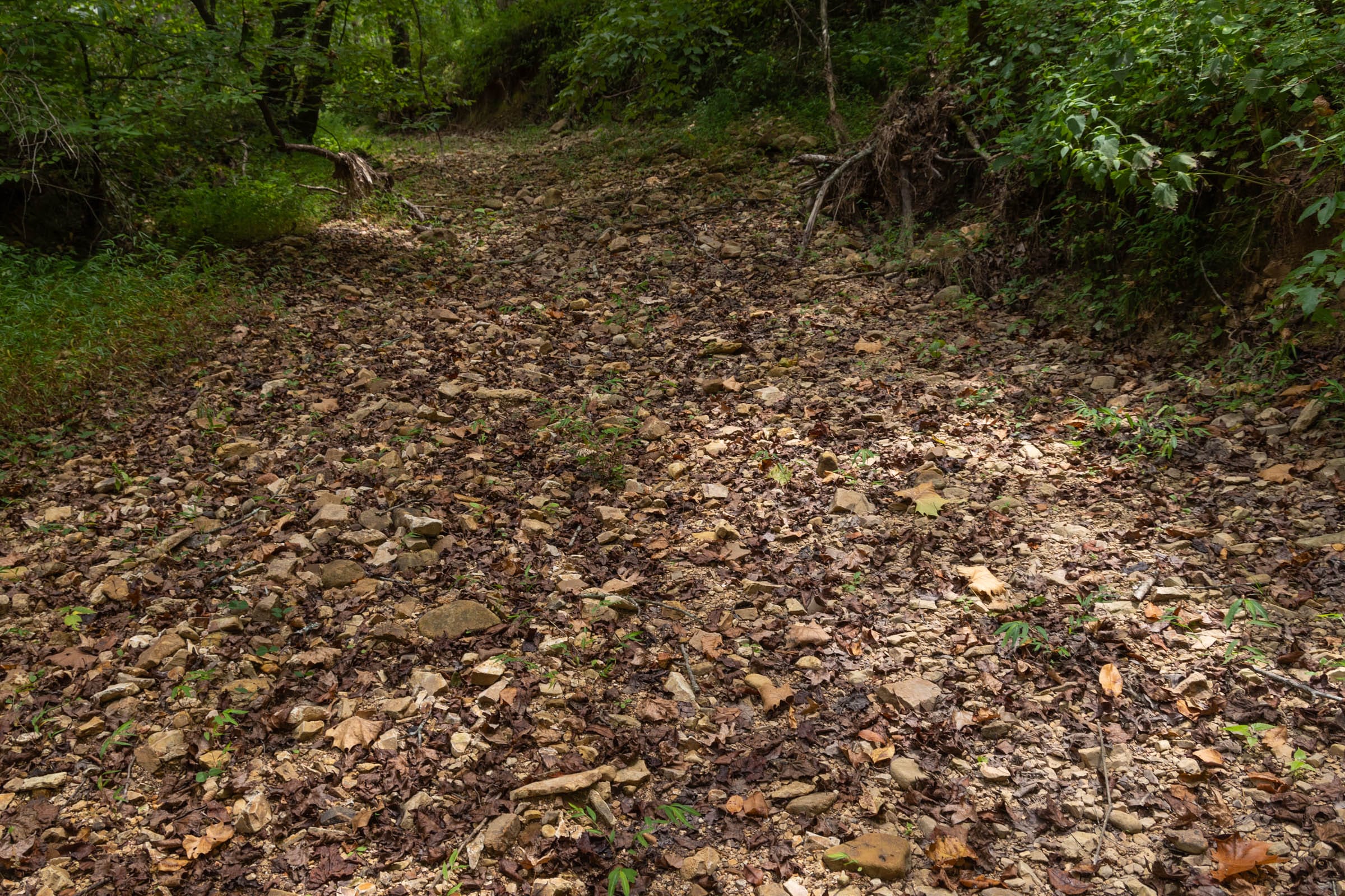 Big White Oak Tract 101 photo 4