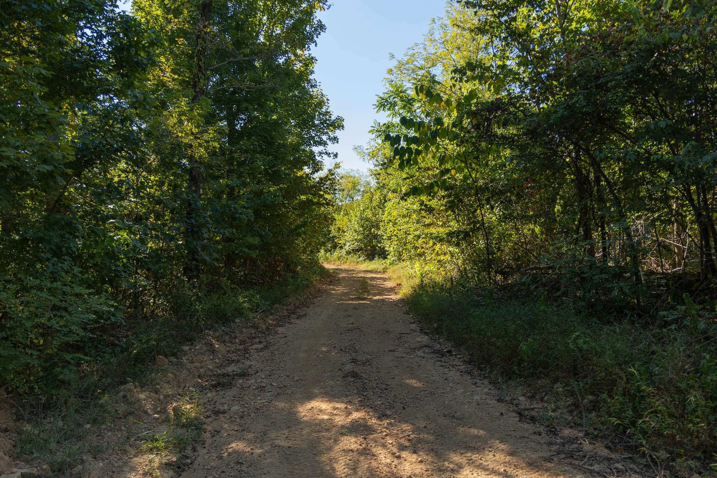 Big White Oak Tract 101 photo 9