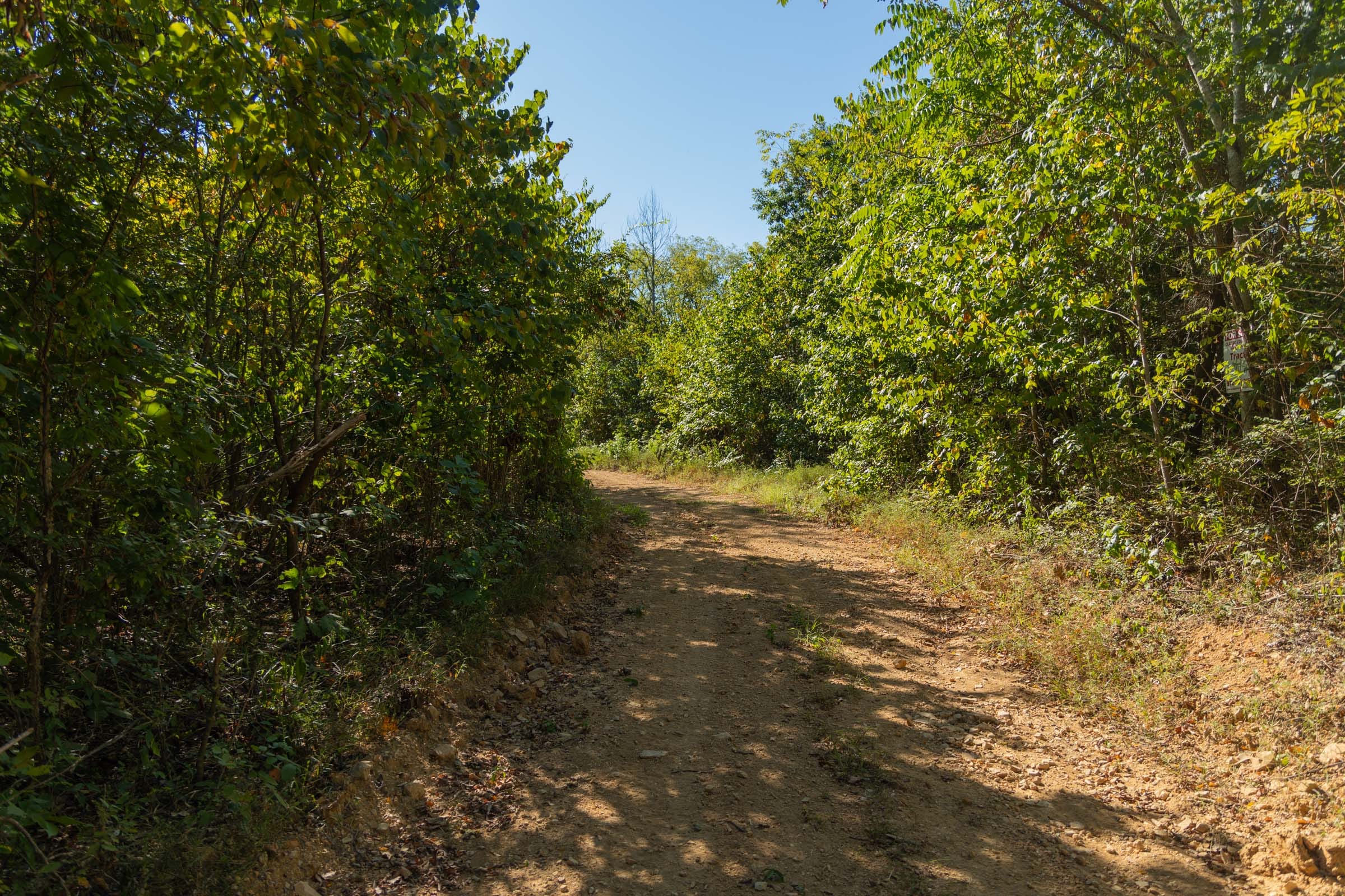 Big White Oak Tract 101 photo 7