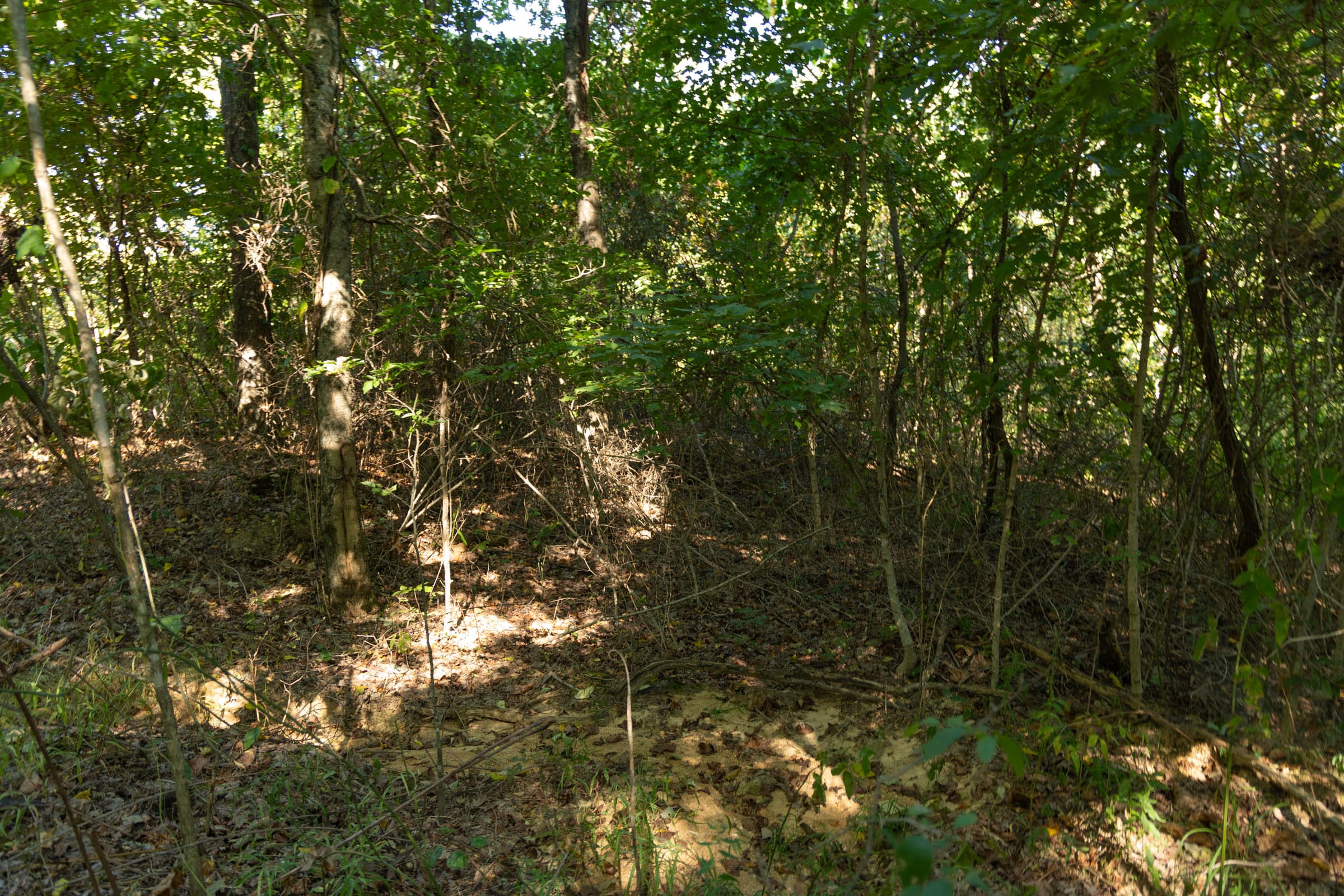 Big White Oak Tract 101 photo 5