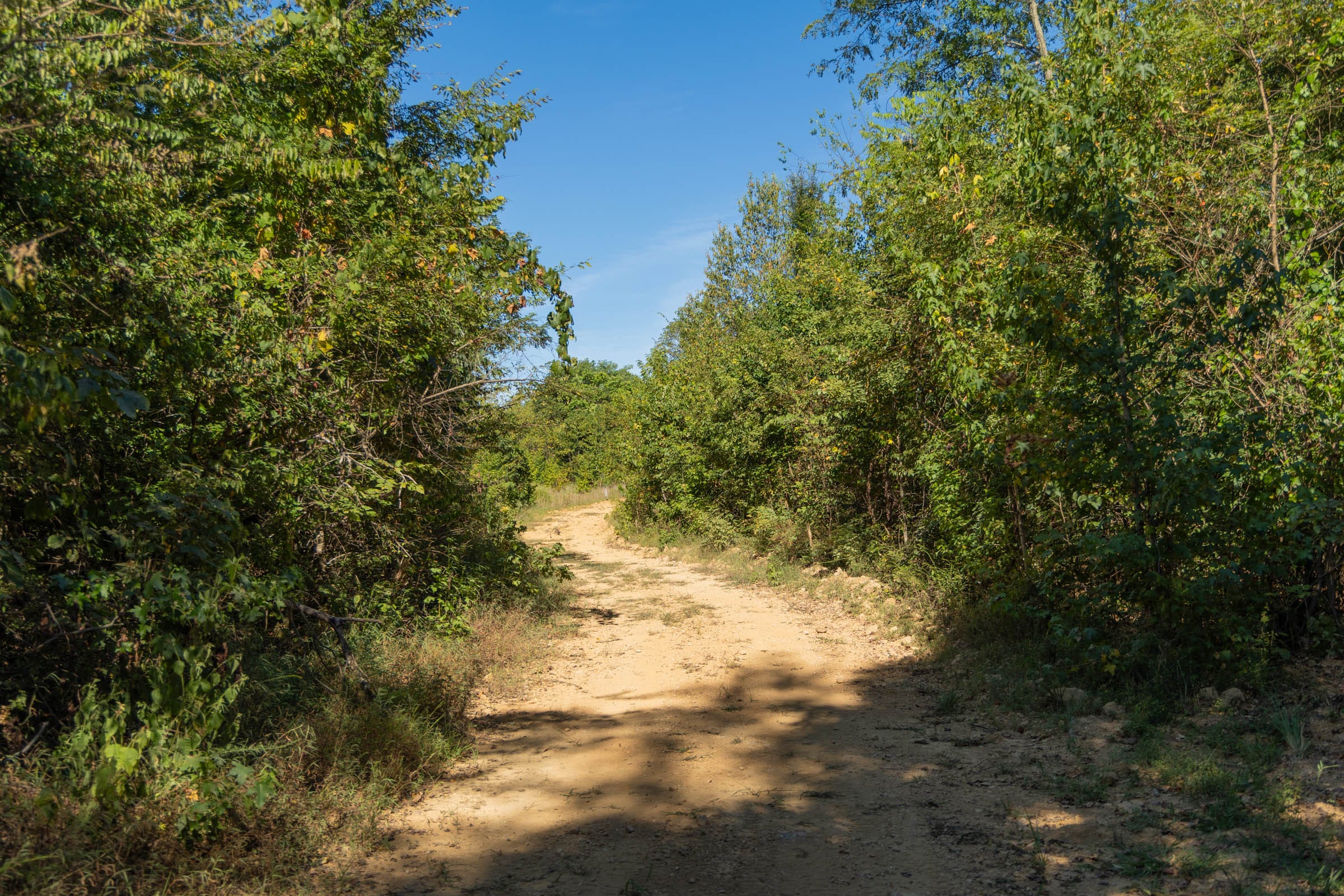 Big White Oak Tract 101 photo 1