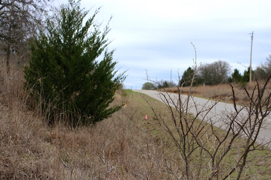 Montgomery Ranch Tract 22 photo 3