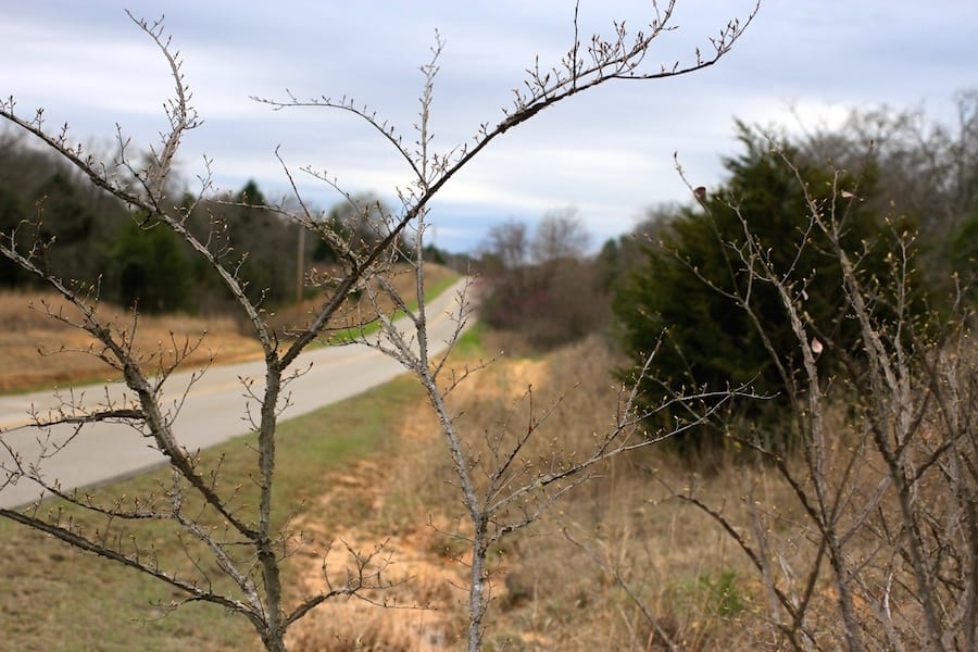 Montgomery Ranch Tract 22 photo 4