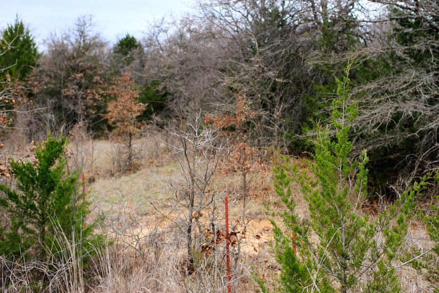 Montgomery Ranch Tract 22 photo 5