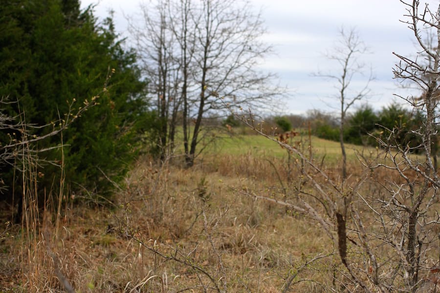 Montgomery Ranch Tract 22 photo 7