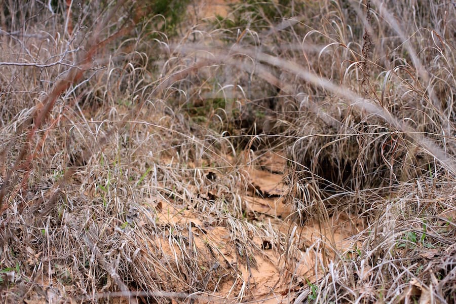 Montgomery Ranch Tract 22 photo 9