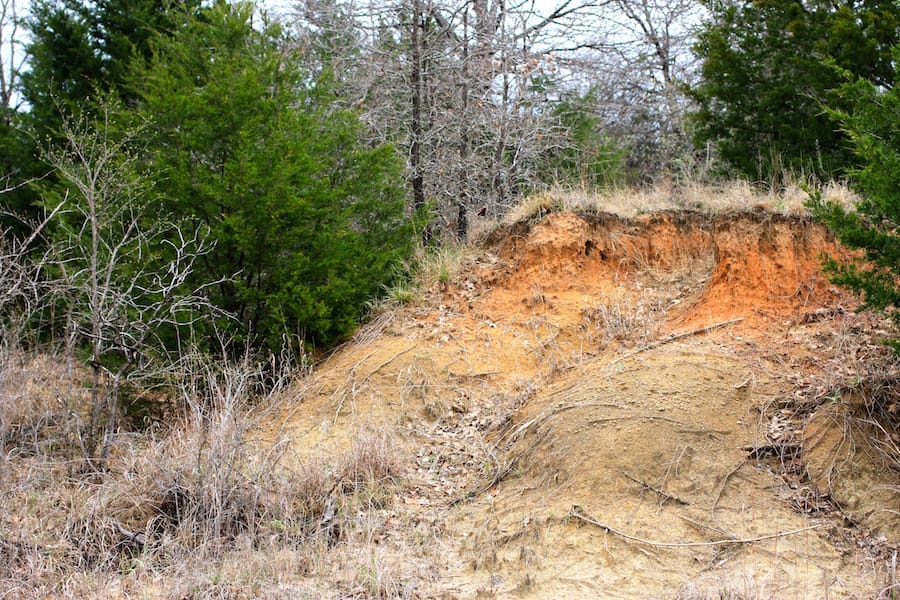 Montgomery Ranch Tract 22 photo 10