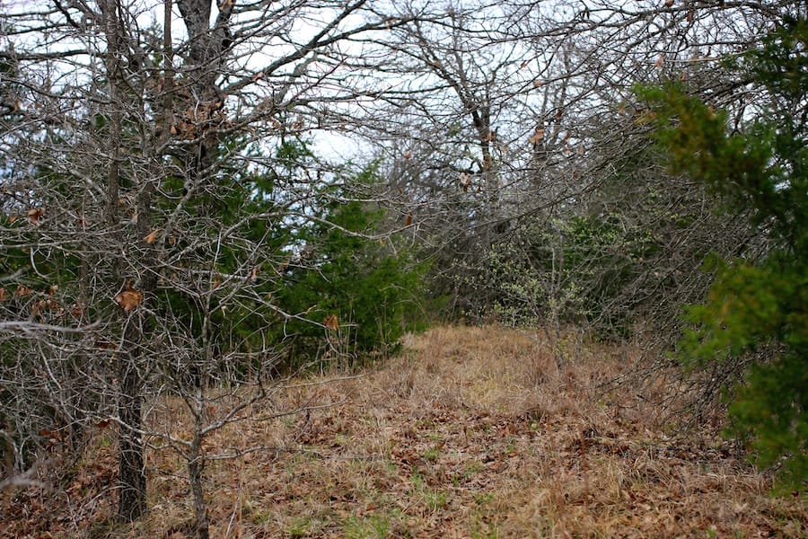 Montgomery Ranch Tract 22 photo 14