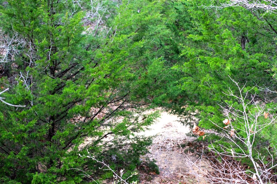 Montgomery Ranch Tract 22 photo 15