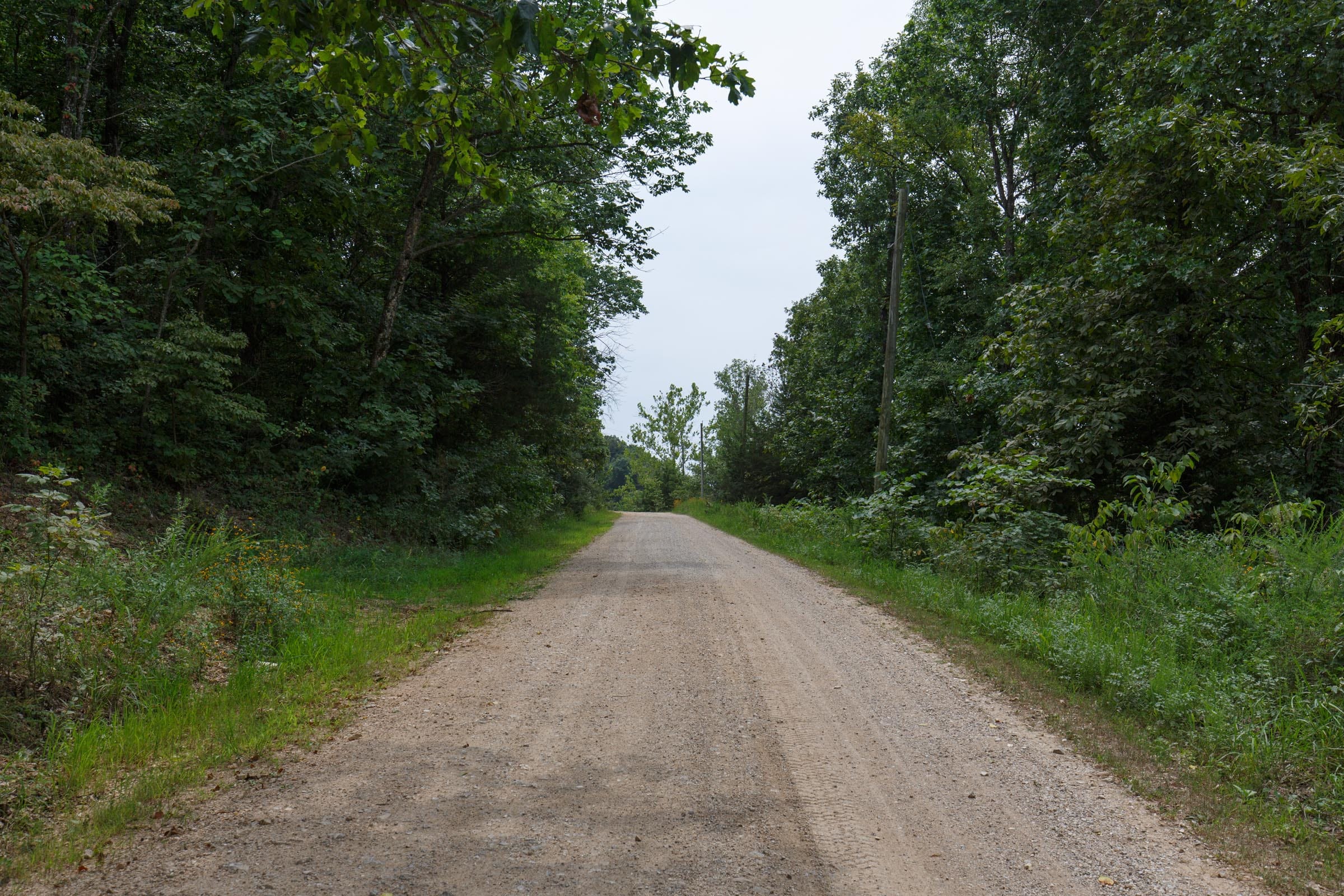 Spring Lake Tract 25 photo 4