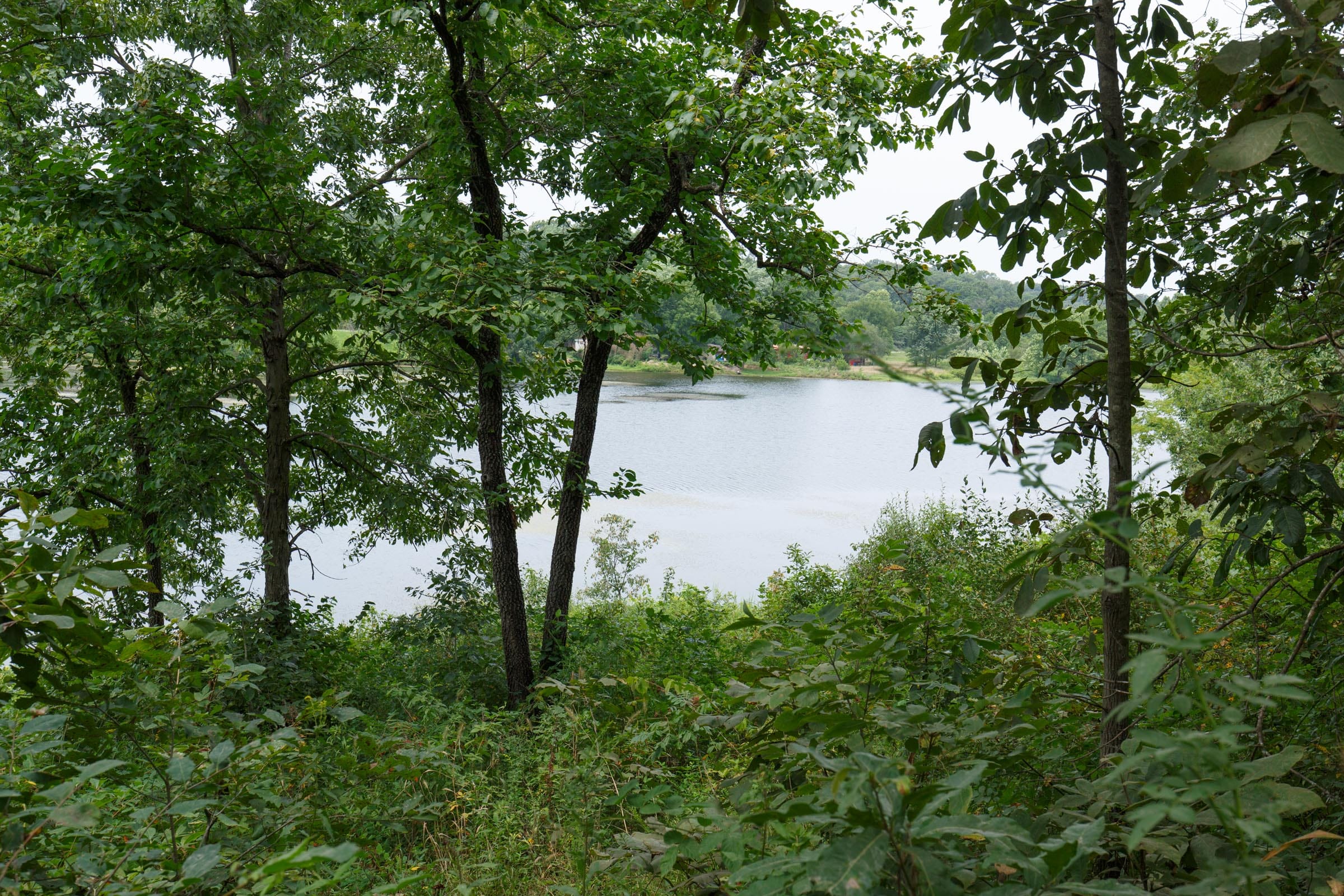 Spring Lake Tract 25 photo 3
