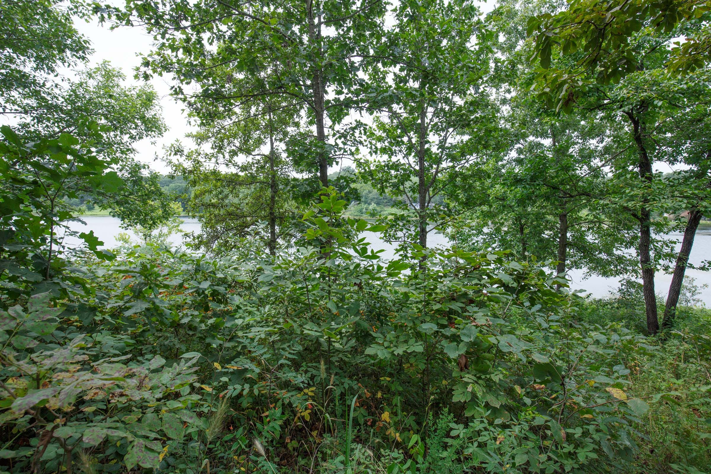 Spring Lake Tract 25 photo 5
