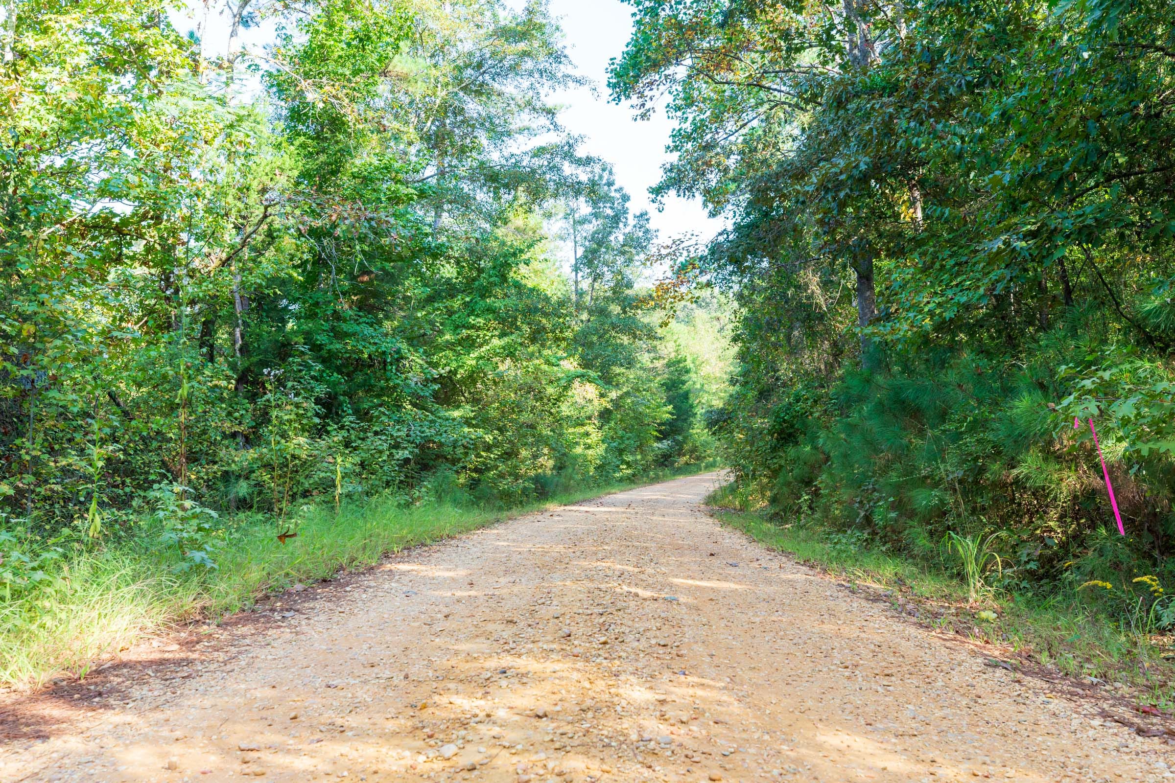 Willow Grove Tract 6 photo 1