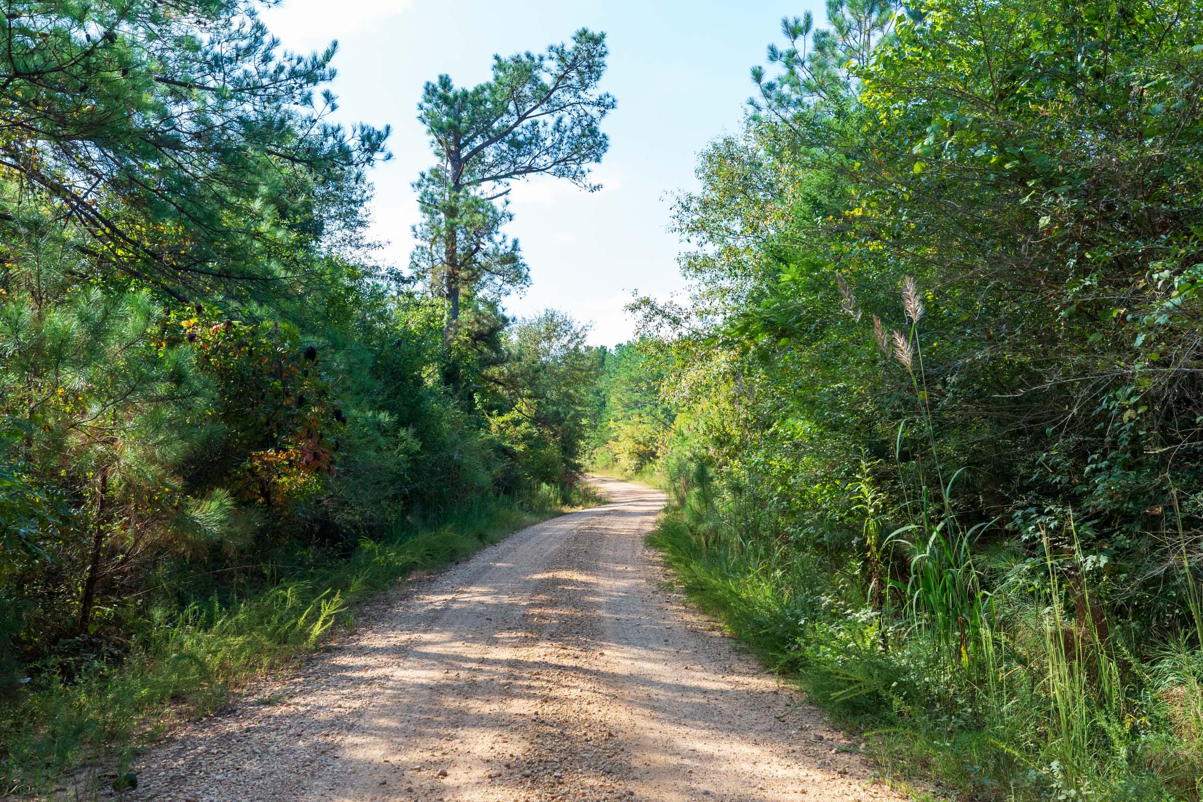 Willow Grove Tract 6 photo 6
