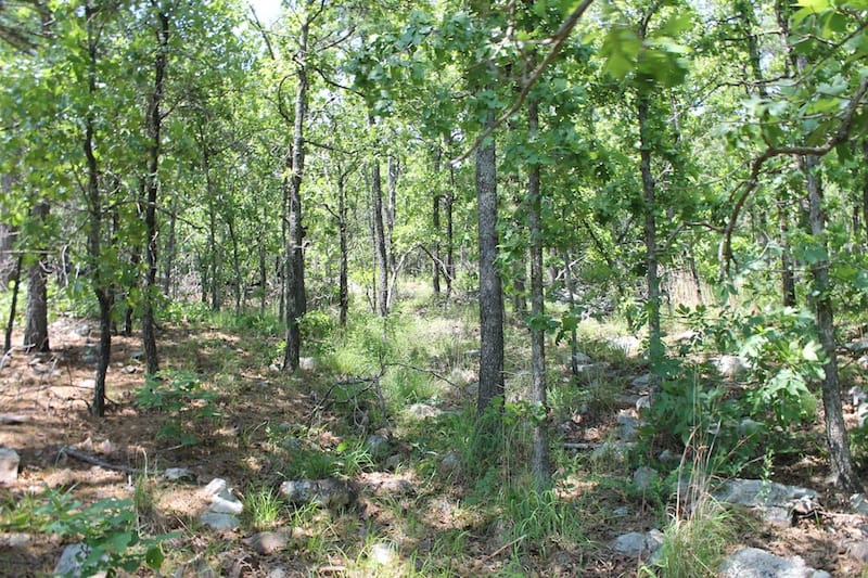 Indian Ridge – Phase II Tract 86 photo 2