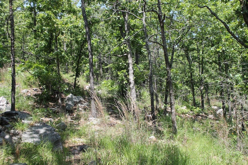 Indian Ridge – Phase II Tract 86 photo 3