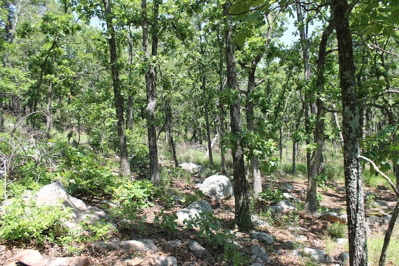 Indian Ridge – Phase II Tract 86 photo 4