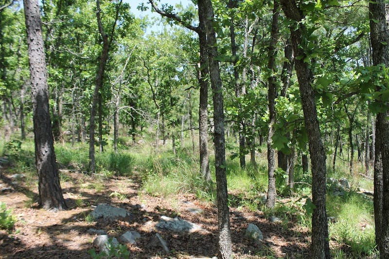 Indian Ridge – Phase II Tract 86 photo 5