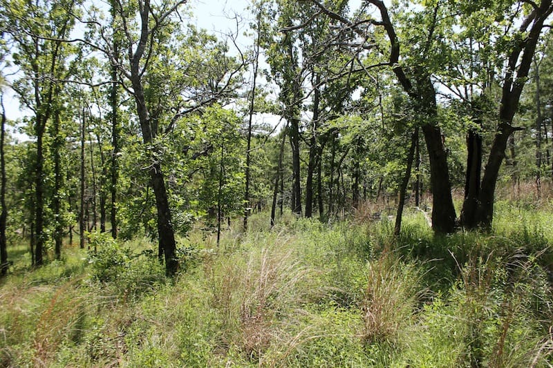 Indian Ridge – Phase II Tract 86 photo 6
