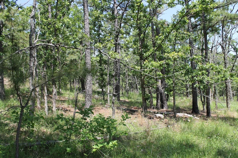 Indian Ridge – Phase II Tract 86 photo 8
