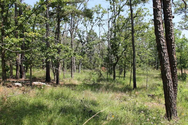 Indian Ridge – Phase II Tract 86 photo 9