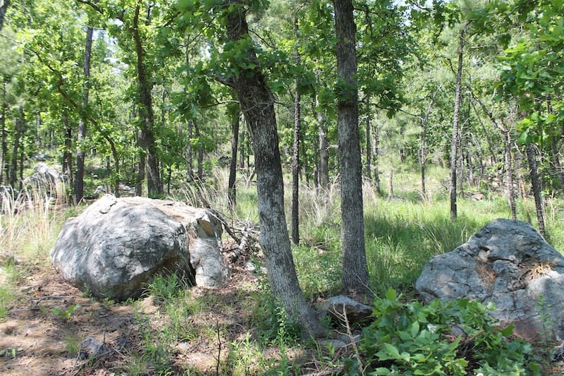 Indian Ridge – Phase II Tract 86 photo 11