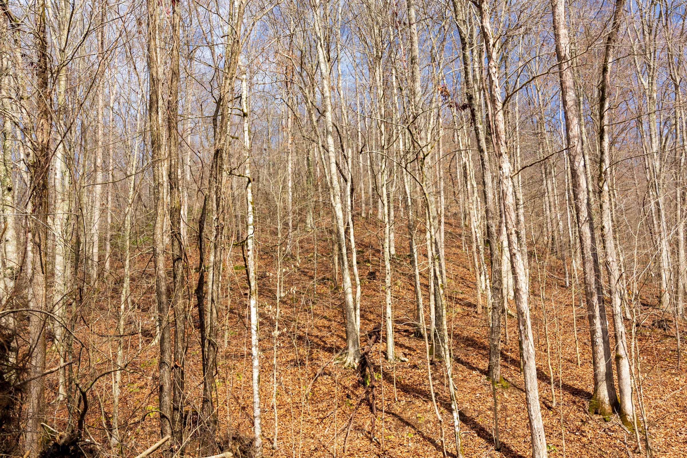 Blackstone Mountain Phase II Tract 72 photo 6