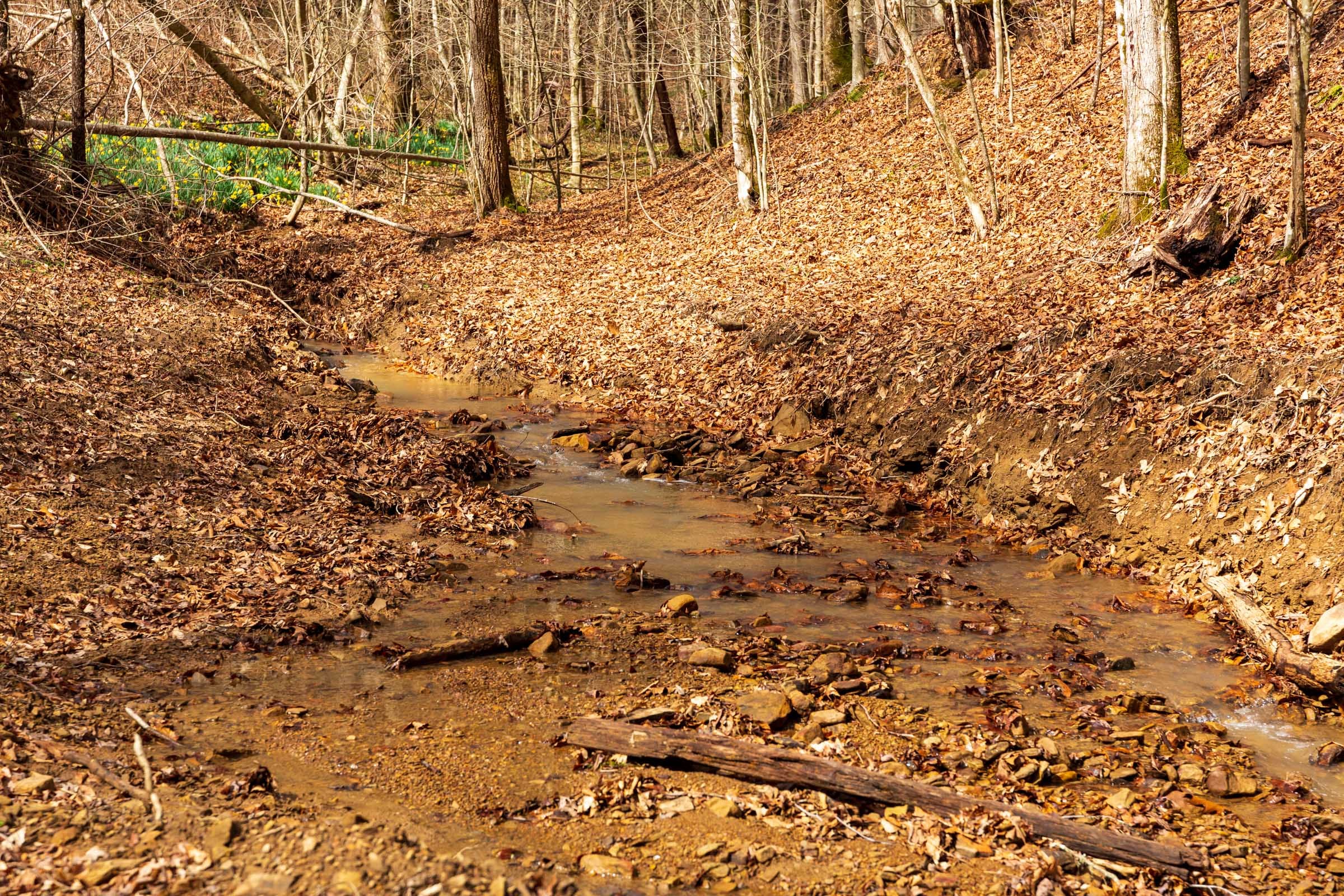 Blackstone Mountain Phase II Tract 72 photo 4