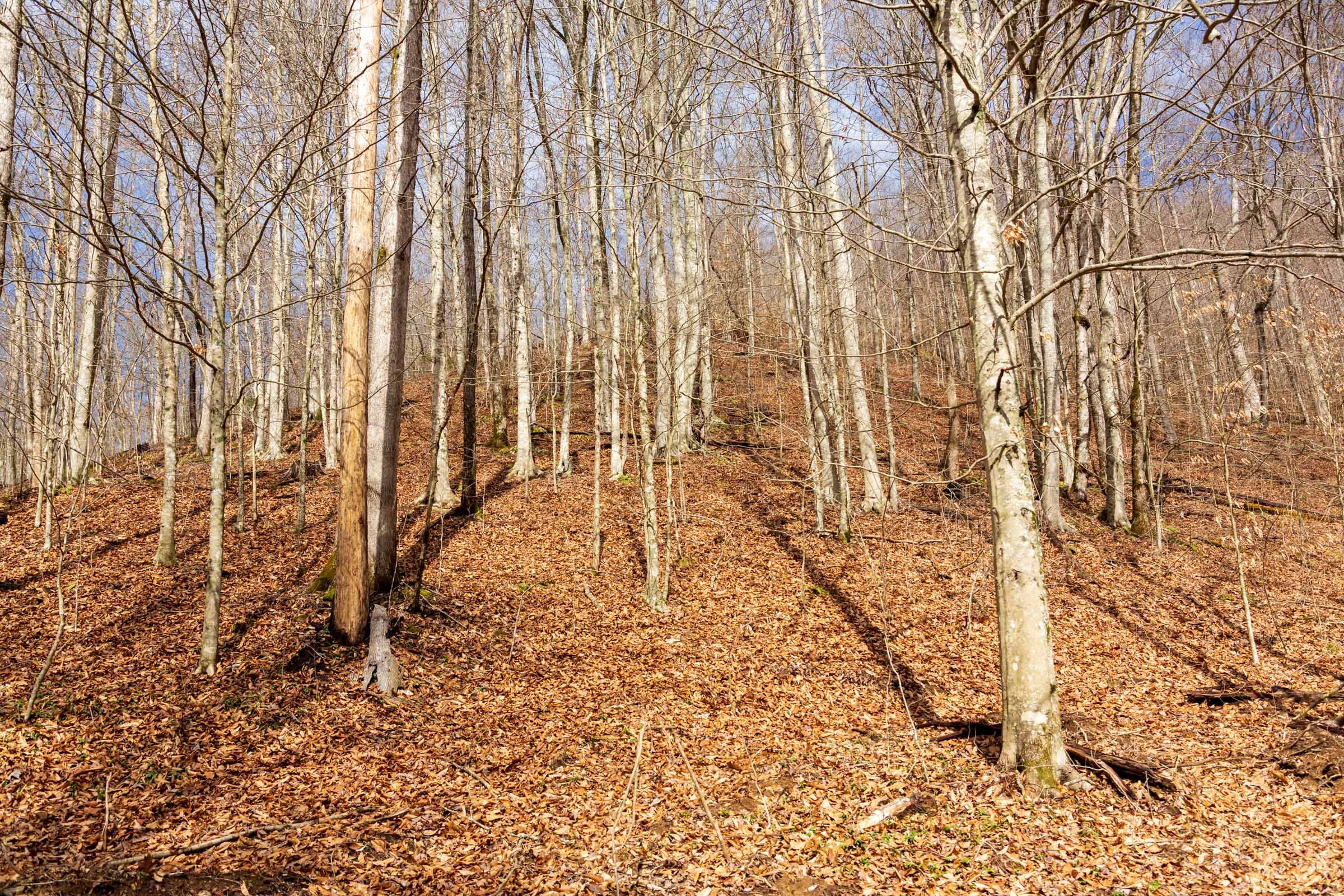 Blackstone Mountain Phase II Tract 72 photo 8