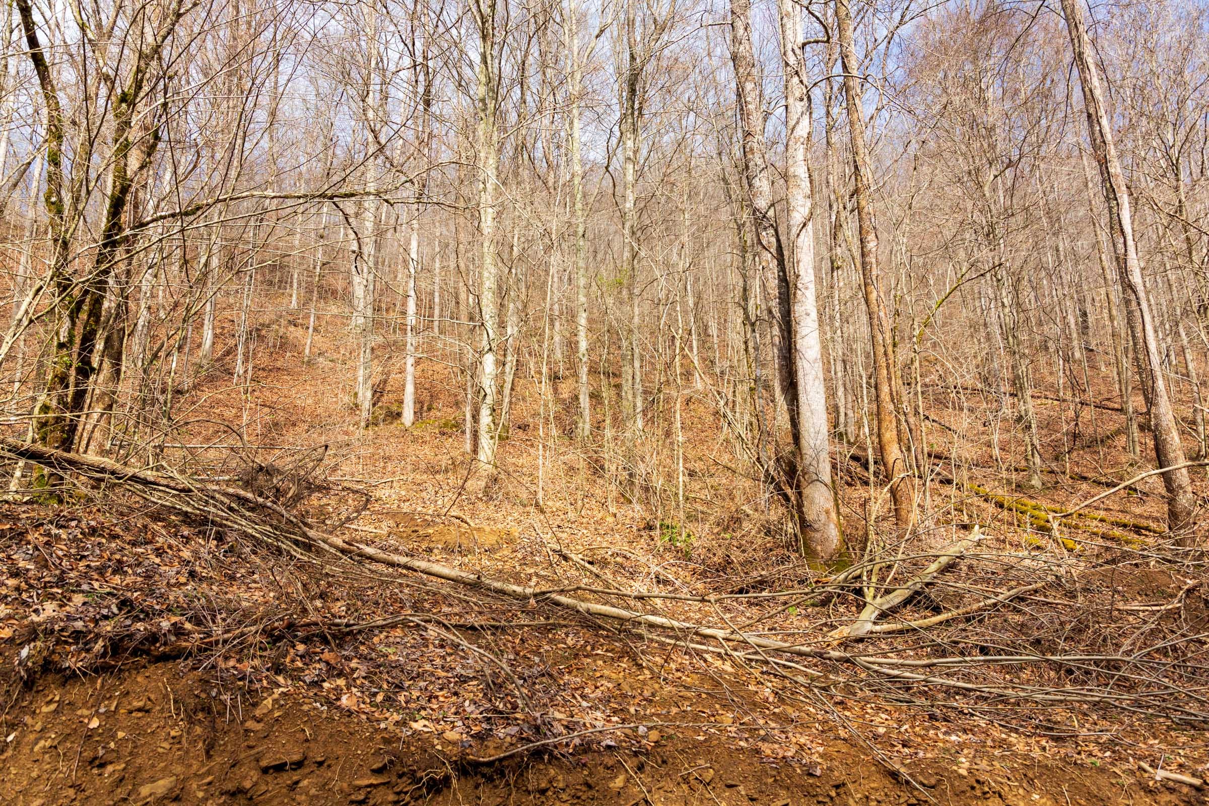 Blackstone Mountain Phase II Tract 72 photo 3