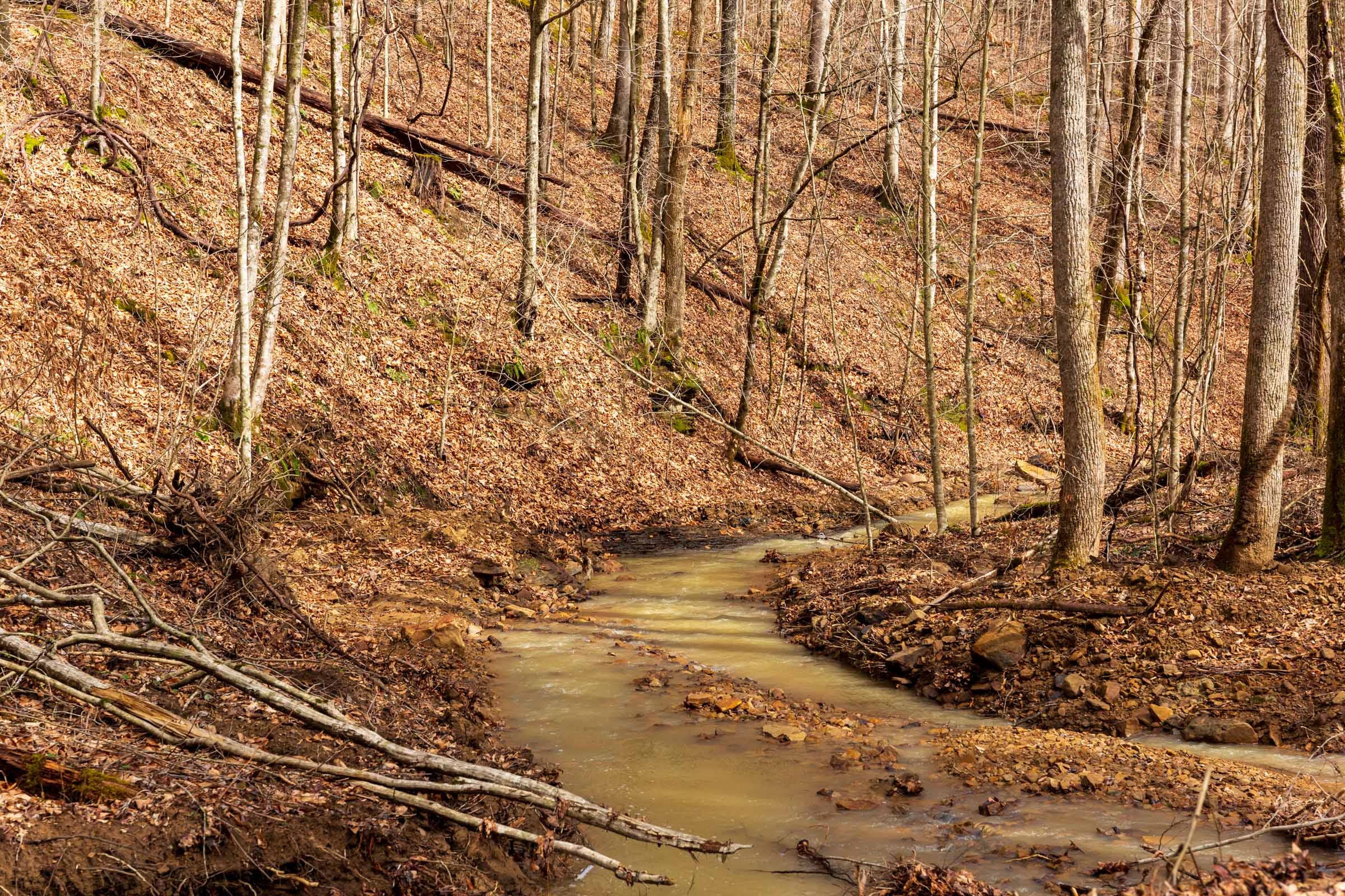 Blackstone Mountain Phase II Tract 72 photo 9