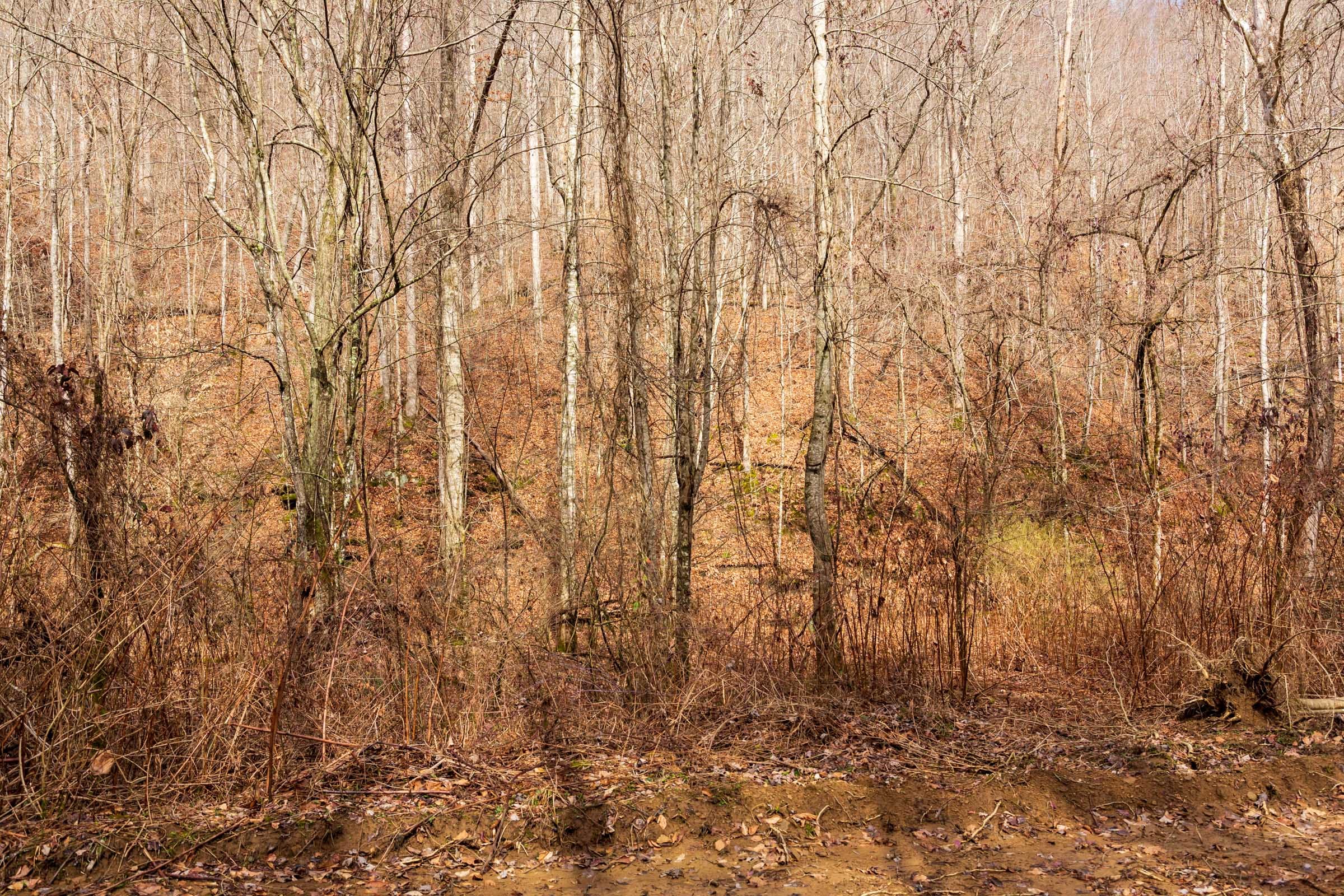 Blackstone Mountain Phase II Tract 72 photo 10