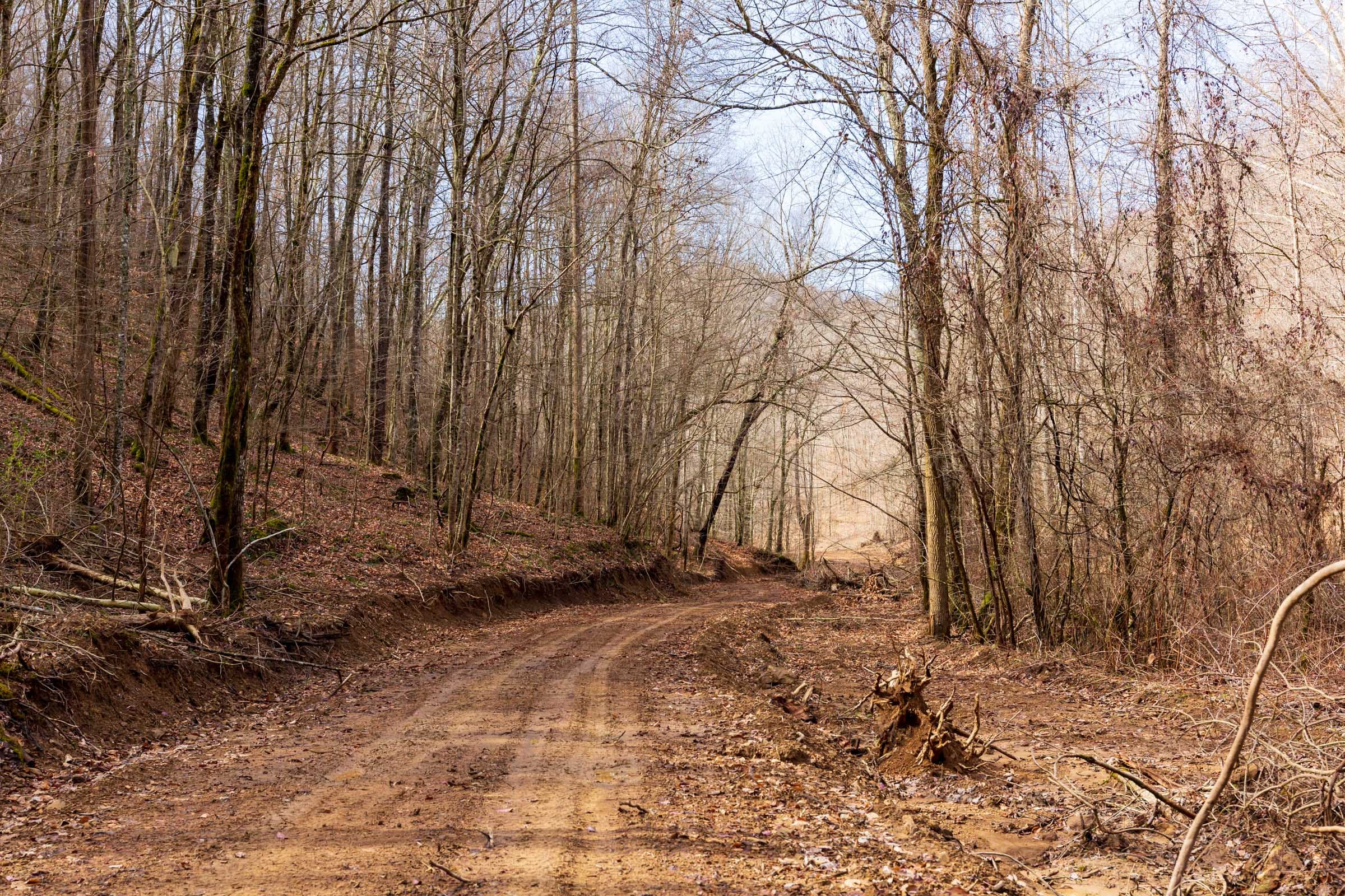 Blackstone Mountain Phase II Tract 72 photo 1