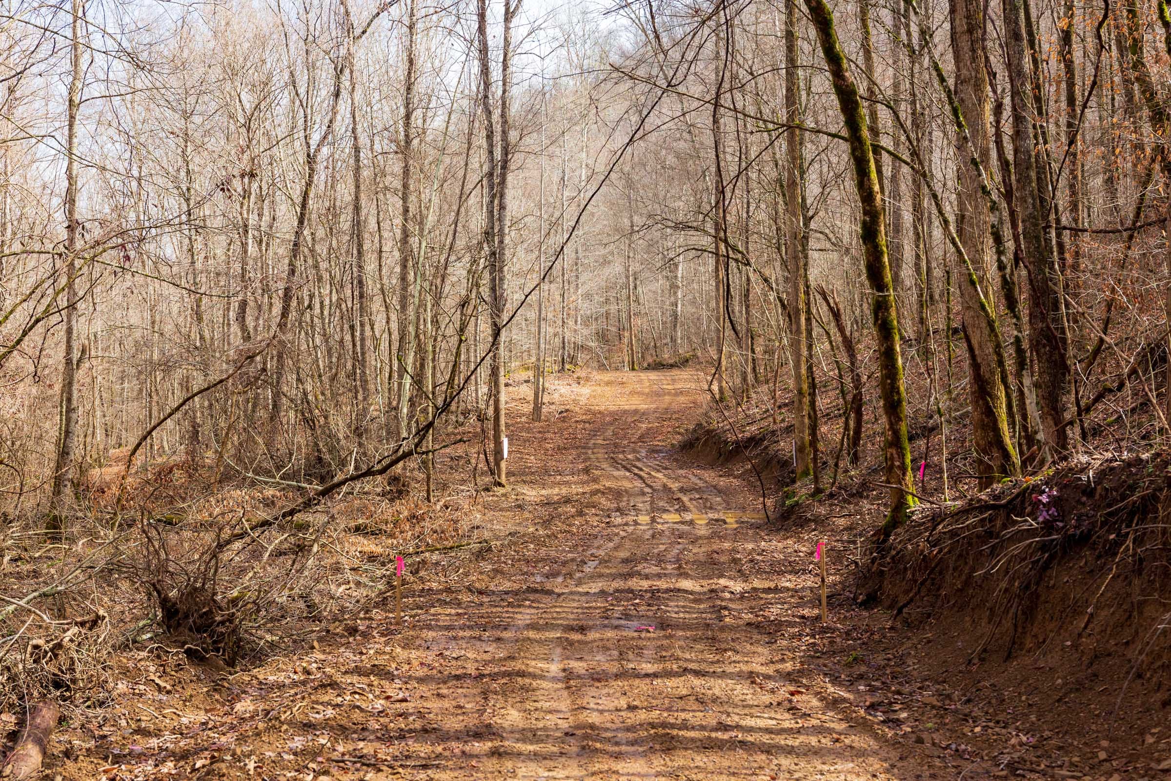 Blackstone Mountain Phase II Tract 72 photo 5