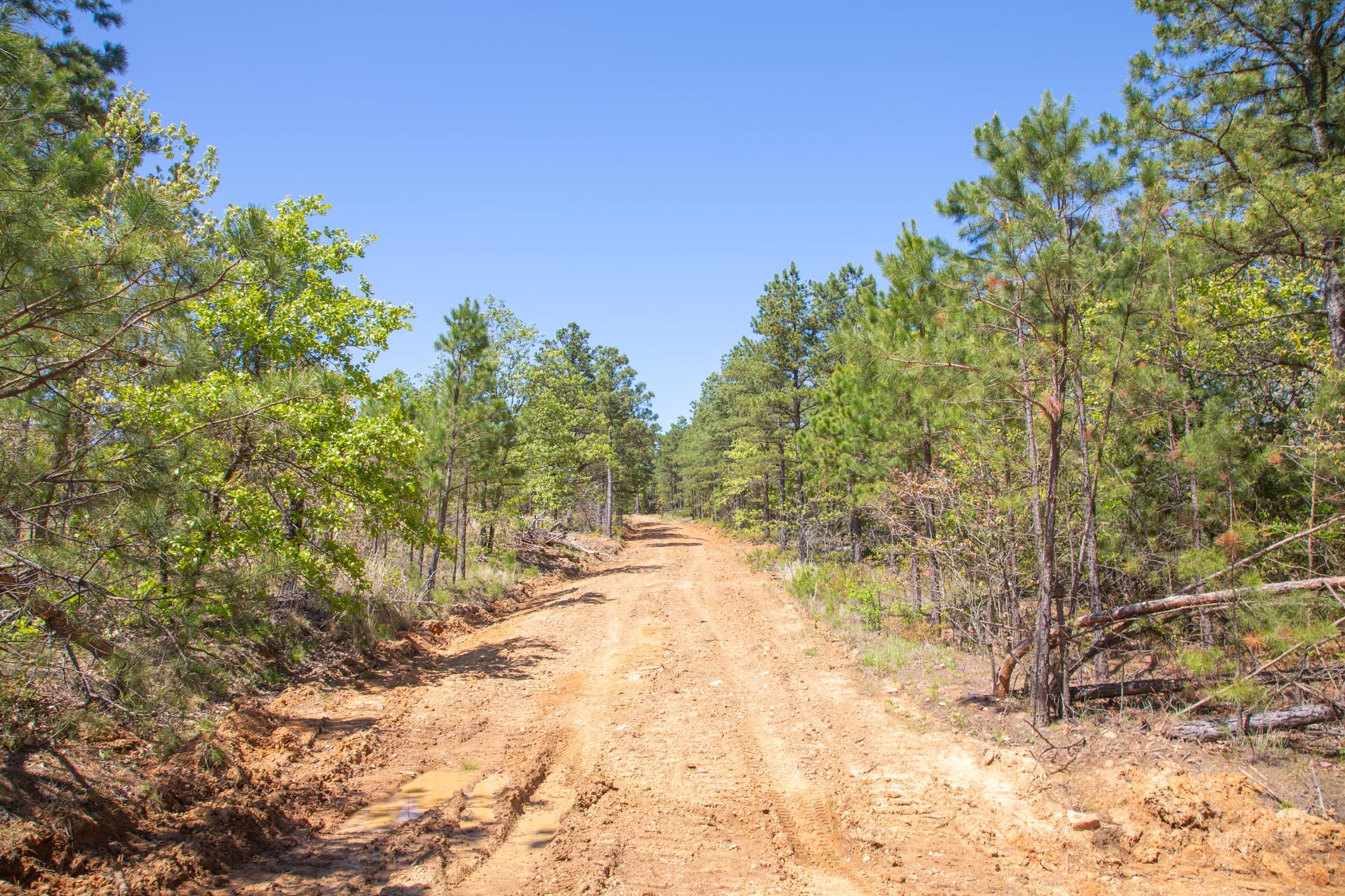 Eagle’s Nest Tract 18 photo 2