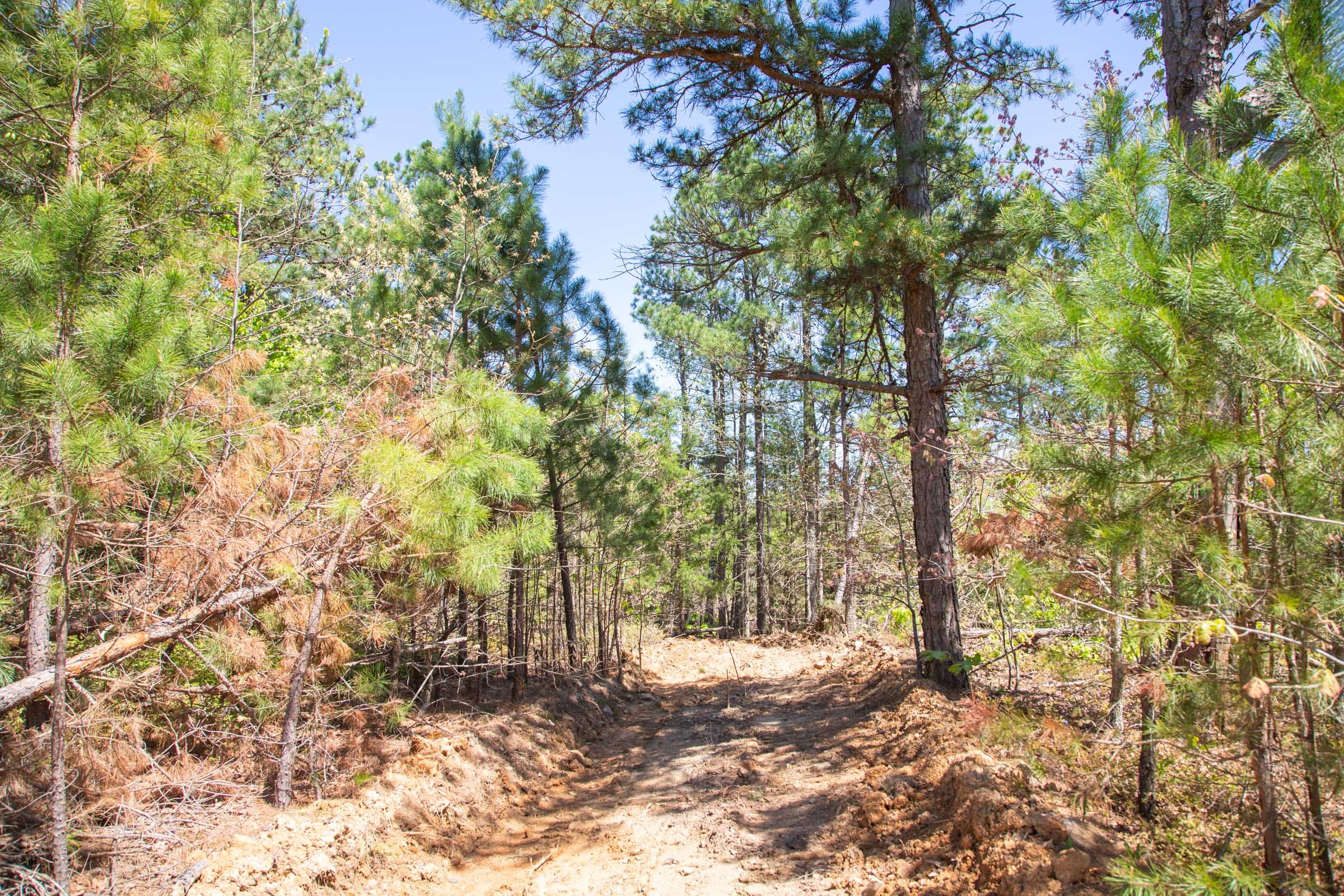 Eagle’s Nest Tract 18 photo 3