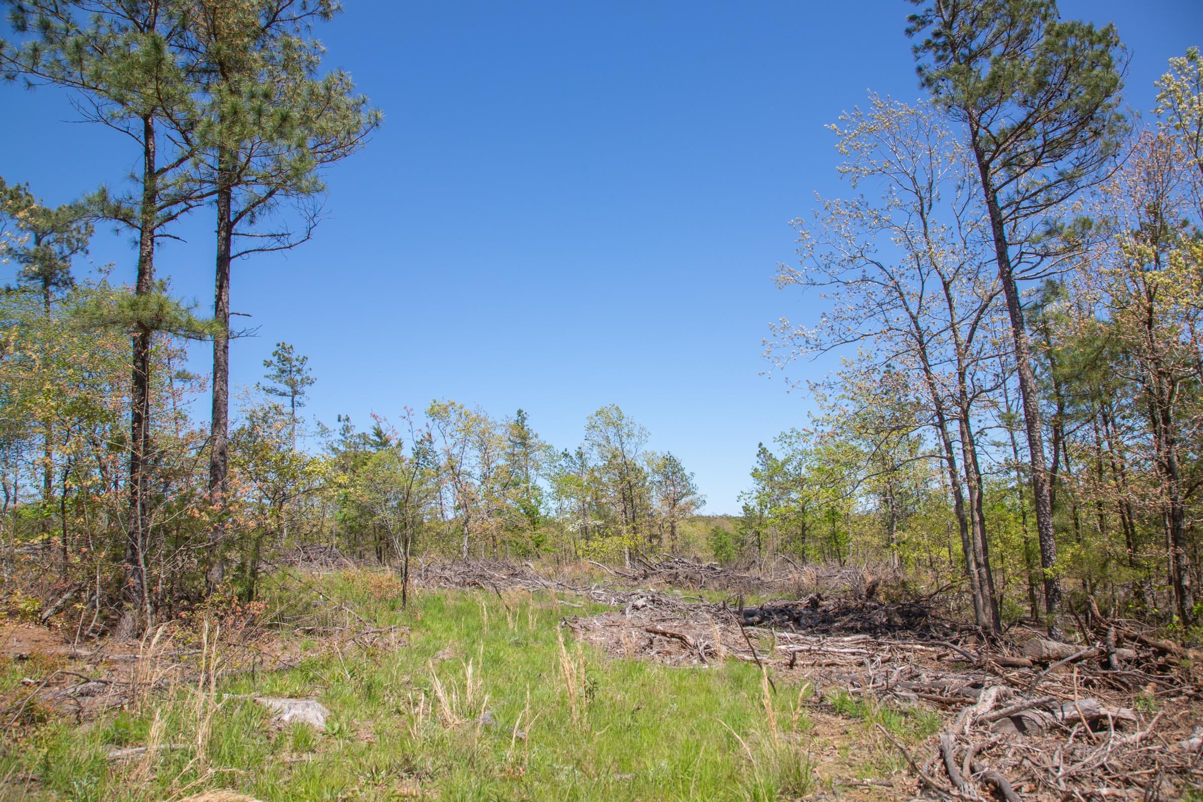 Eagle’s Nest Tract 18 photo 7